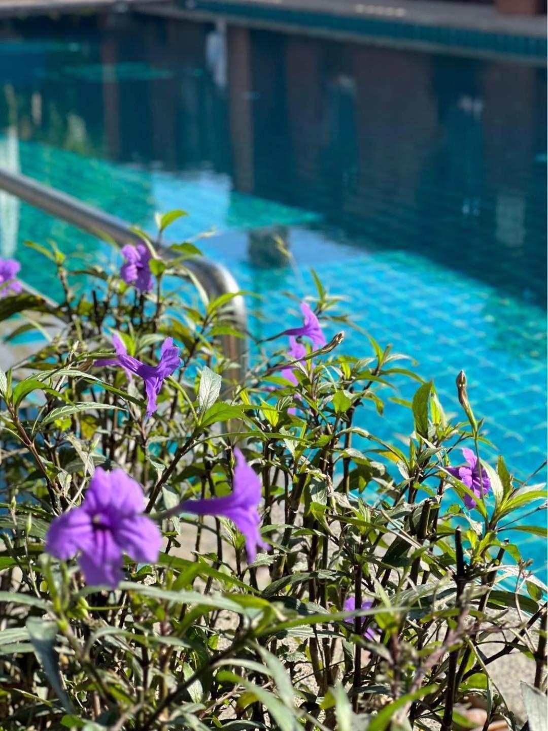 Pattara Mansion พัทยา Hotel Pattaya Exterior foto
